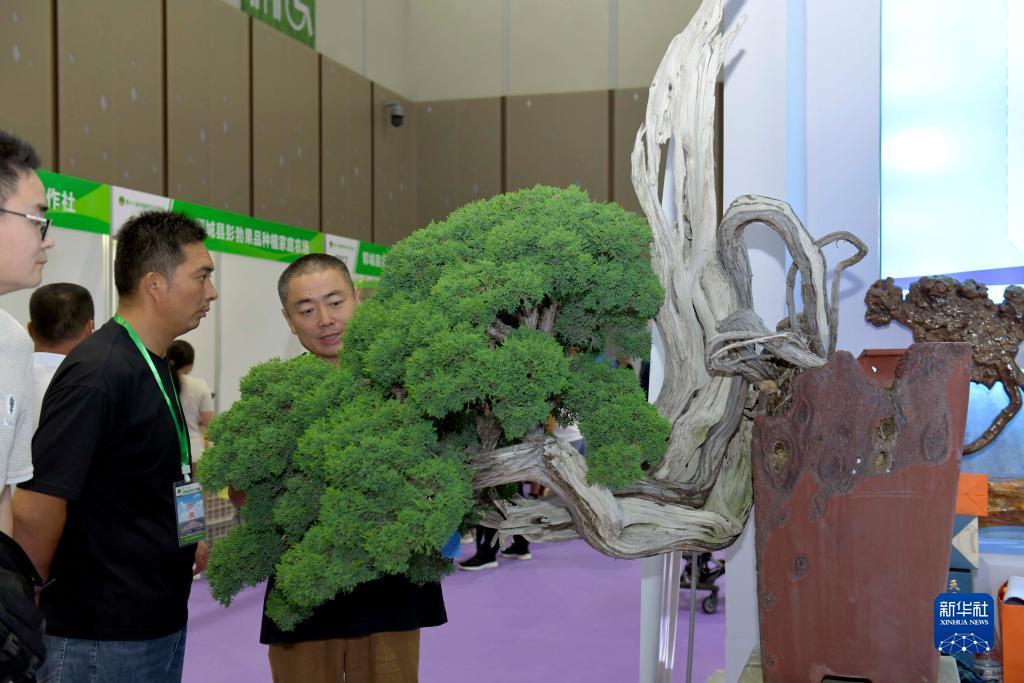 口袋棋牌官方网站